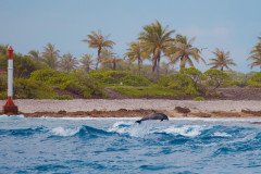 HITIMOANA-LODGE-TIPUTA-RANGIROA-POLYNESIE-27